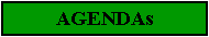 Text Box: AGENDAs